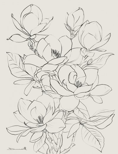 Magnolia - Dan Hobday
