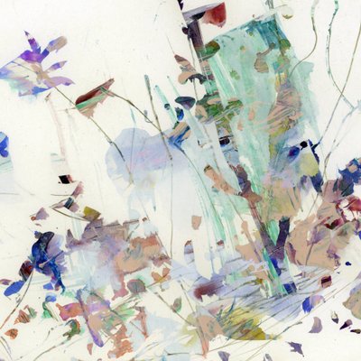 Fleurs sauvages - Dan Hobday