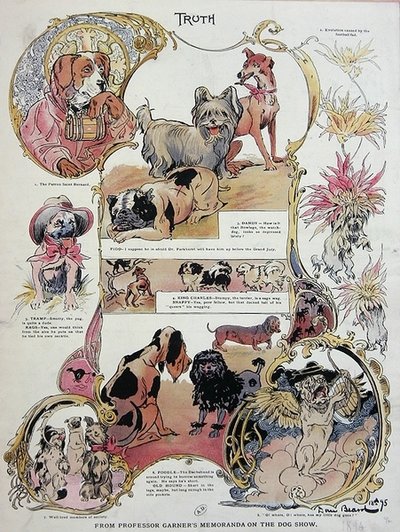 Représentation légère et humoristique de chiens à une exposition canine - Daniel Carter  Beard