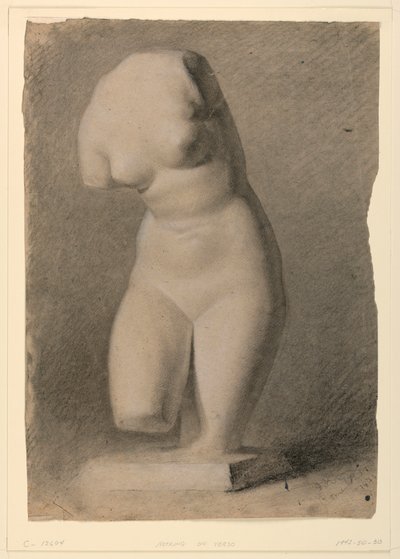 Dessin, torse féminin d
