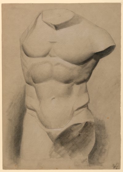 Dessin, torse masculin d