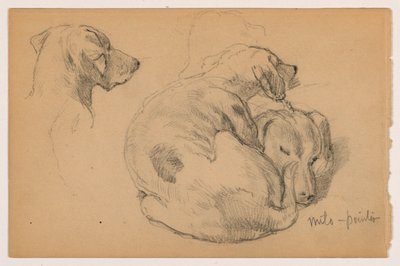 Dessin, Milo (un chien d