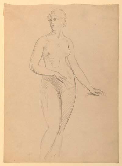 Dessin, Mme Henry Schieffelin, S, 1881 - Daniel Huntington