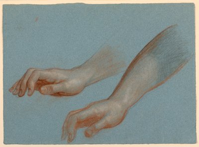 Étude de la main de l