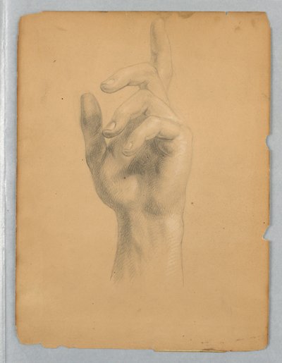 Étude de la main d