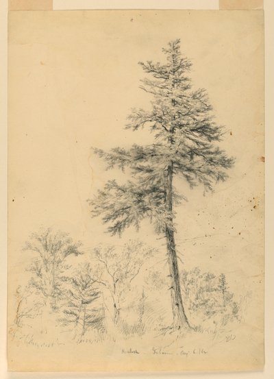 Étude de la pruche, Gorham, New Hampshire - Daniel Huntington