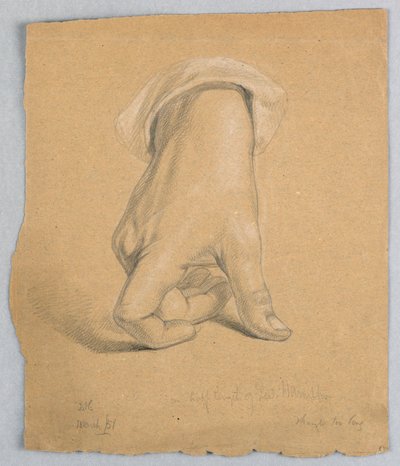 Étude de la main droite d