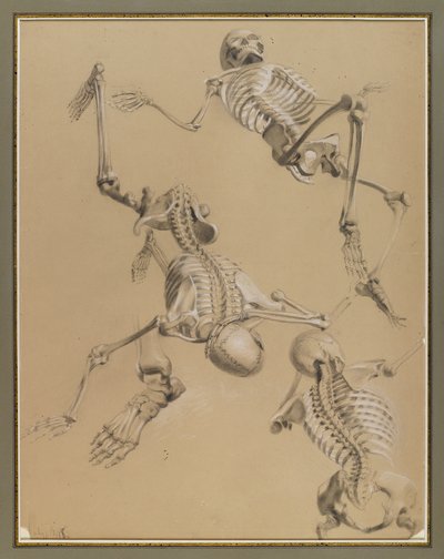 Étude de squelettes, 1848 - Daniel Huntington