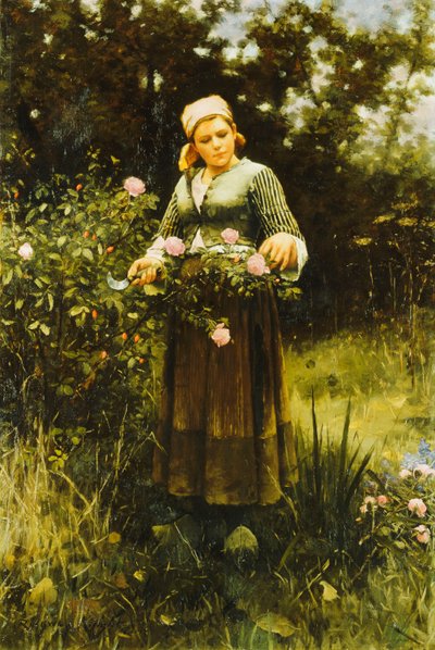 Cueillette de roses - Daniel Ridgway Knight