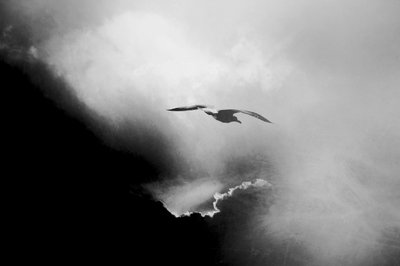  - Daniela Riegler