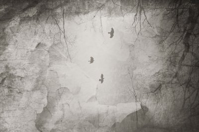  - Daniela Riegler