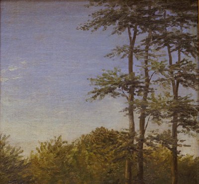 Étude de sous-bois et grands arbres, Fionie - Dankvart Dreyer