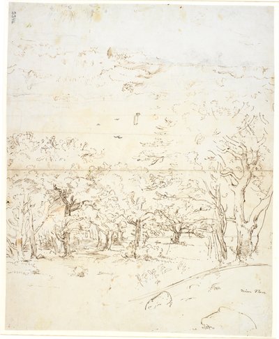 Vue à travers une forêt vers un détroit - Dankvart Dreyer