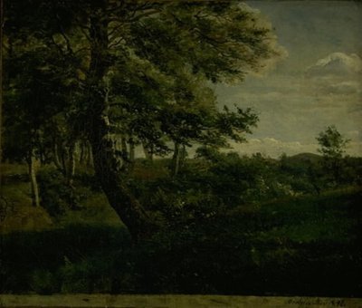 Forêt d