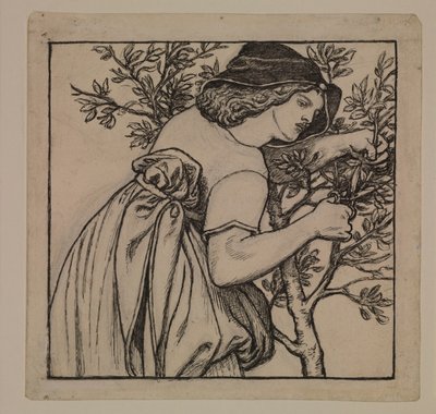 Voyage de noces du roi René - Jardinage - Dessin d