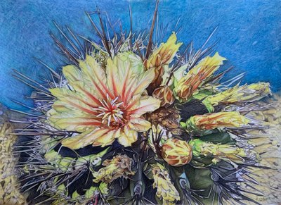Beauté Gardée, 2023 - Darrell Windjack