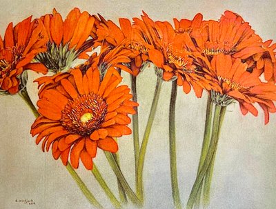 Orange Burst, 2019 - Darrell Windjack