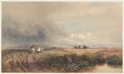  - David Cox