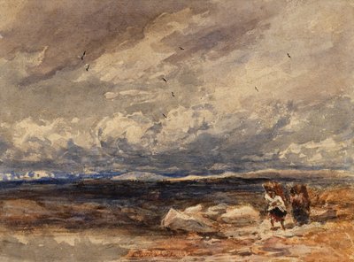Sur Carrington Moss - David Cox