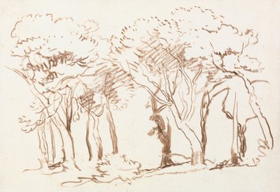 Étude des arbres - David Cox