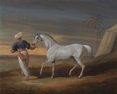 Signal, un Arabe gris, avec un palefrenier dans le désert - David Dalby of York