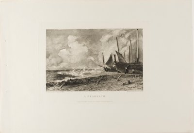Une plage - David Lucas