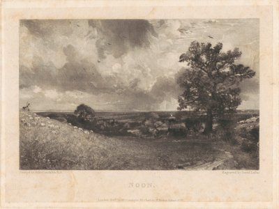 Midi - David Lucas