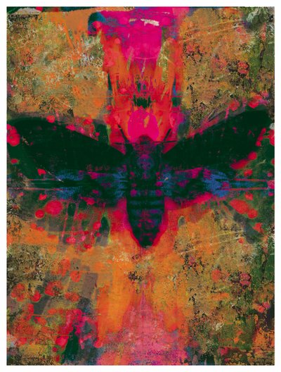 Collage de papillon de la mort, 2016 - David McConochie