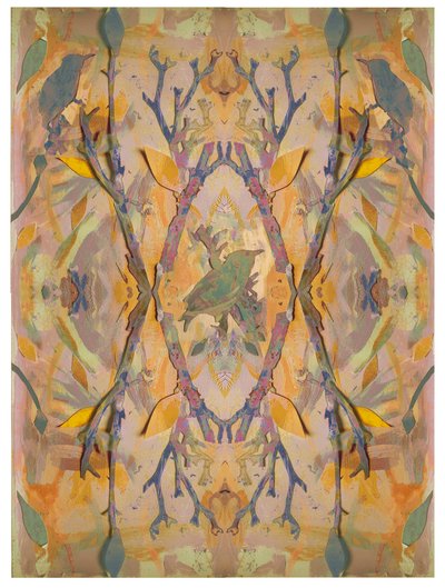 Étourneaux, 2016 - David McConochie