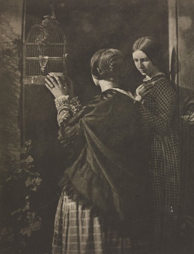 Camera Work : La cage à oiseaux, 1909 - David Octavius Hill