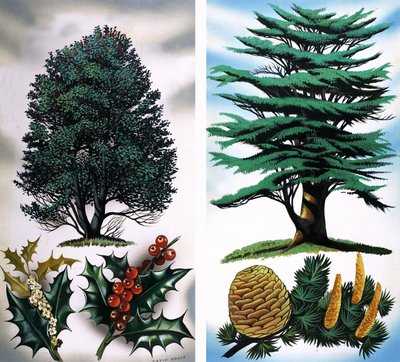 Arbres visibles : Houx et cèdre - David Pratt