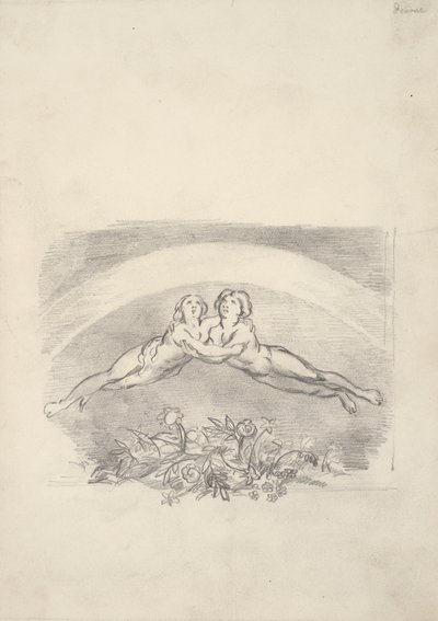 Six dessins pour Nichol