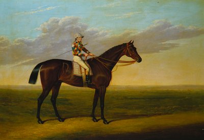 Le cheval de course baie de M. Richard Watt, "Rockingham" avec Sam Darling, sur un hippodrome - David of York Dalby