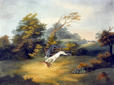 Course, planche 4, gravé par R.G. Reeve - Dean Snr. (after) Wolstenholme