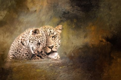 La tendresse de la famille des léopards - Debbie Lefever