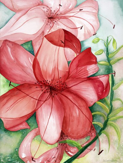Lys tigré, 2007 (aquarelle) - Deborah Eve Alastra