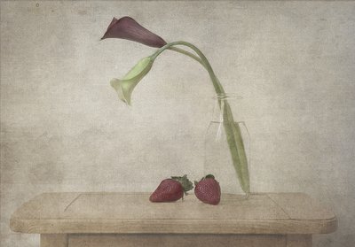  - Deborah Gugeri