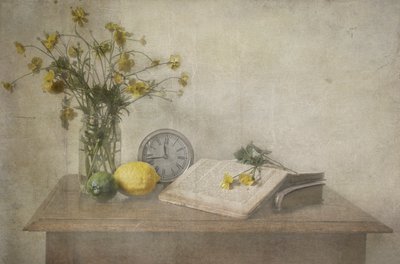 - Deborah Gugeri