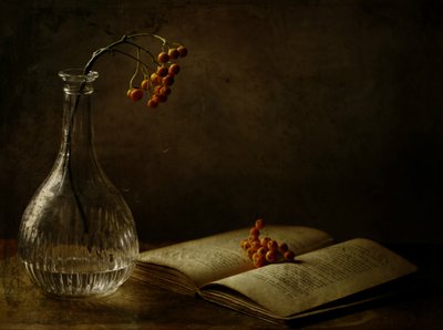  - Delphine Devos
