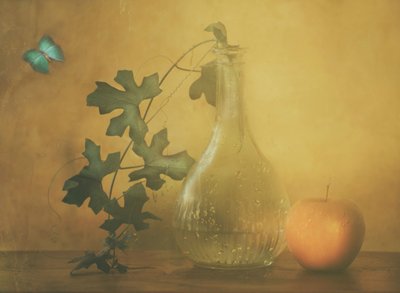  - Delphine Devos