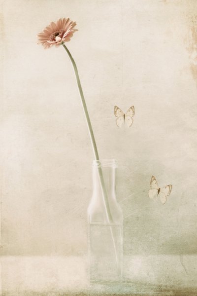  - Delphine Devos