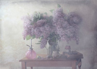  - Delphine Devos