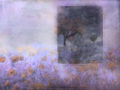  - Delphine Devos