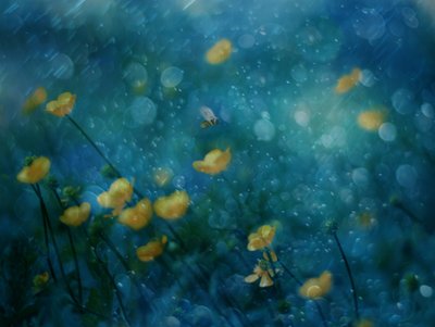  - Delphine Devos