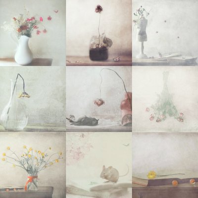 Nature morte éphémère - Delphine Devos