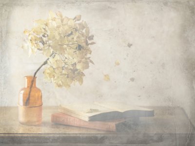  - Delphine Devos