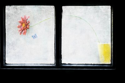  - Delphine Devos