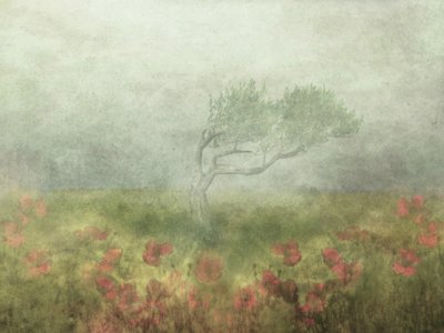  - Delphine Devos