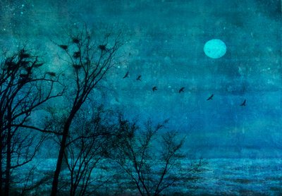  - Delphine Devos