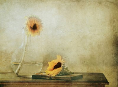  - Delphine Devos